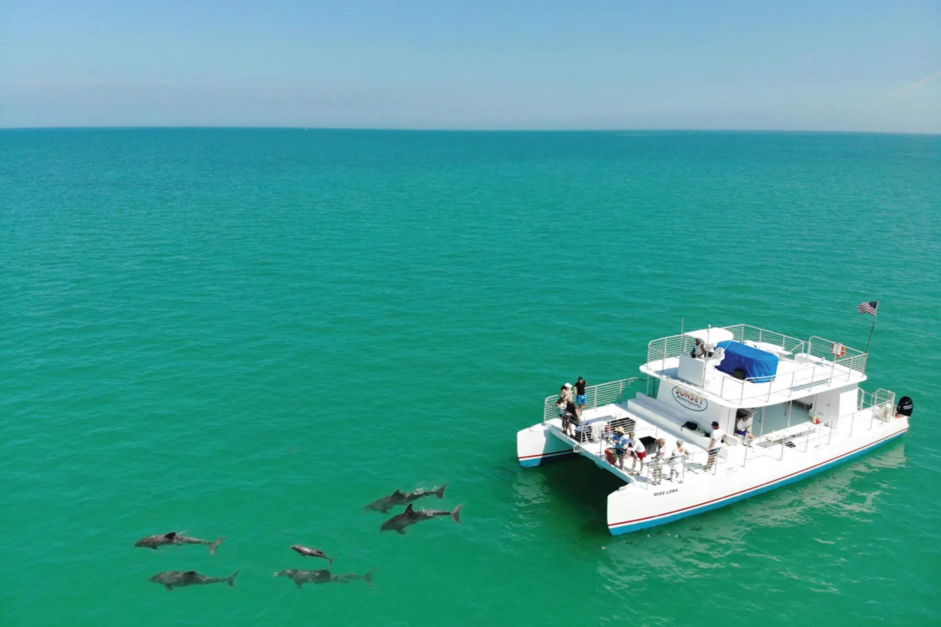 Dolphin Tour
