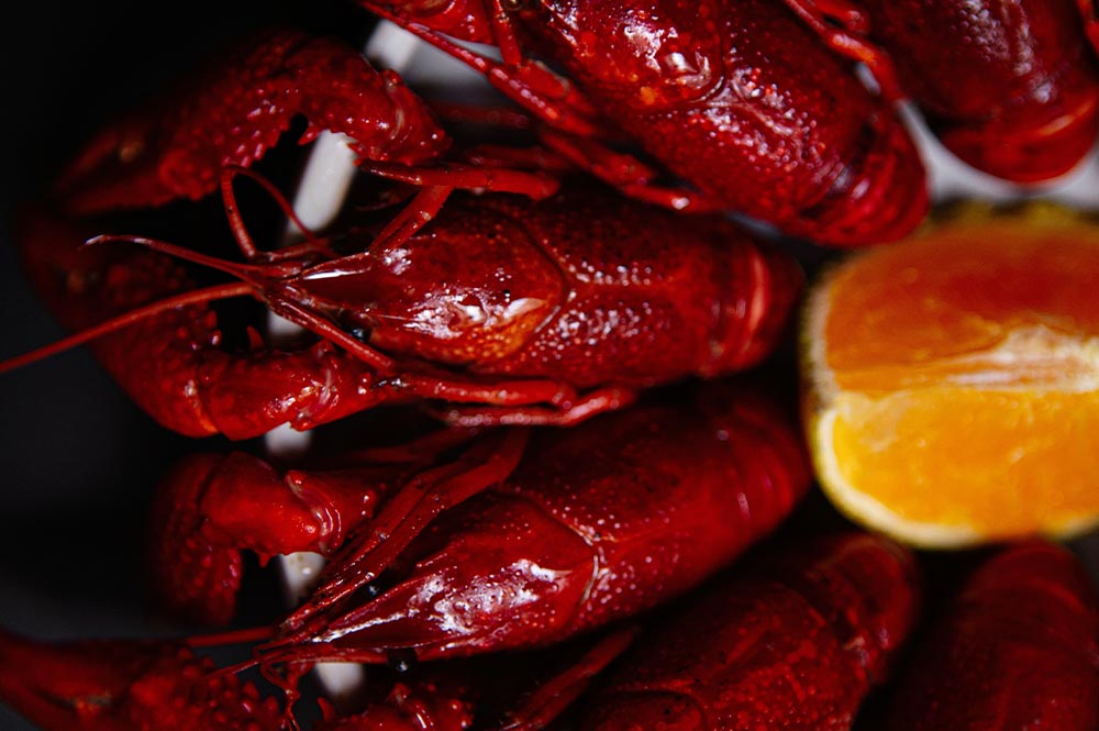 Lobsterfest